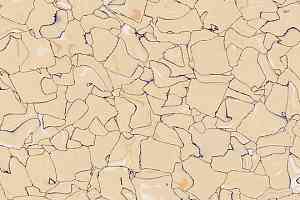 Кварцвиниловые полы Forbo Colorex EC EC 250215 oasis фото  | FLOORDEALER